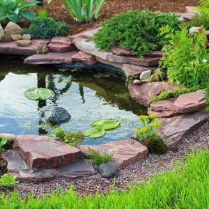 Backyard Pond Build