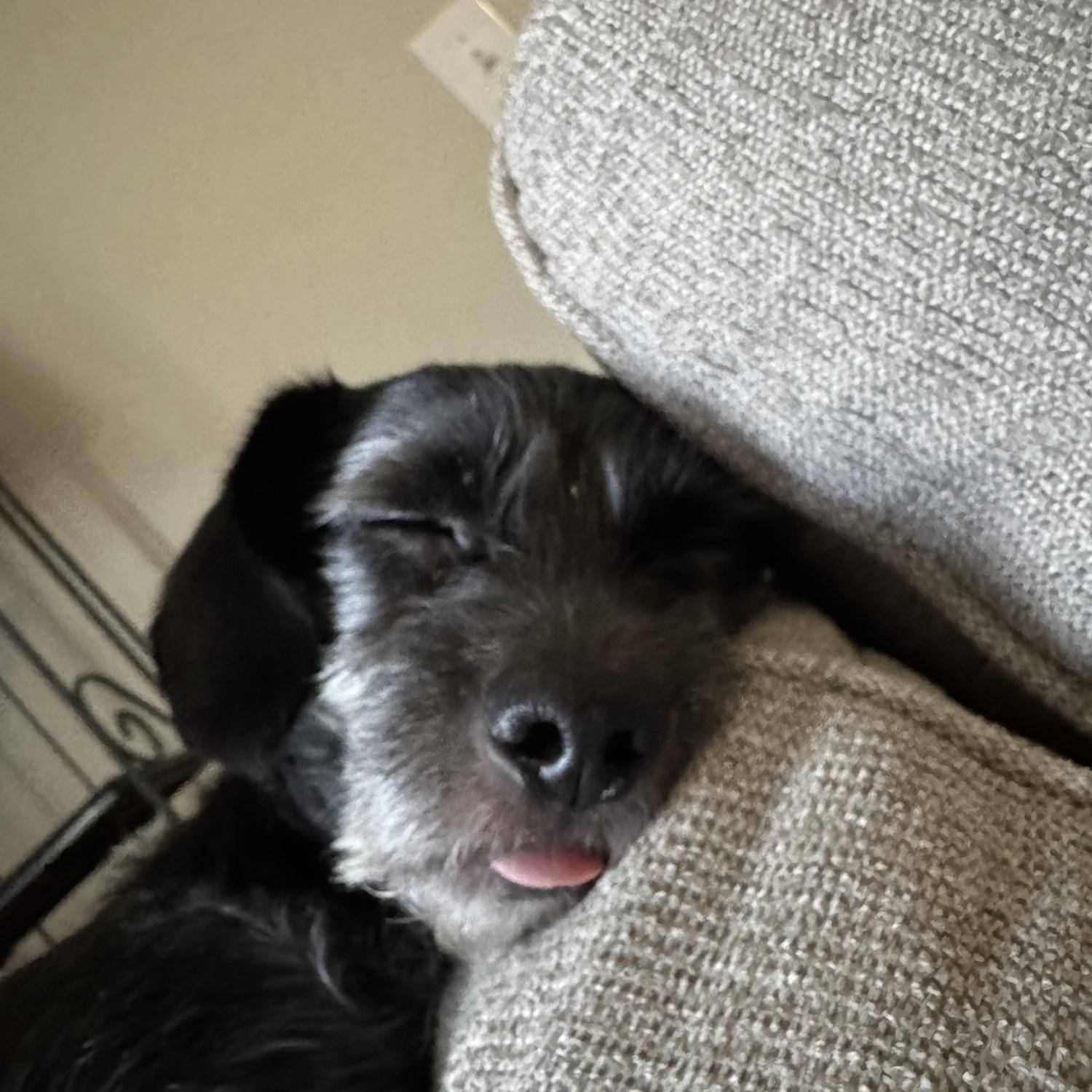 Henry's Ode to Sleep Part 3.