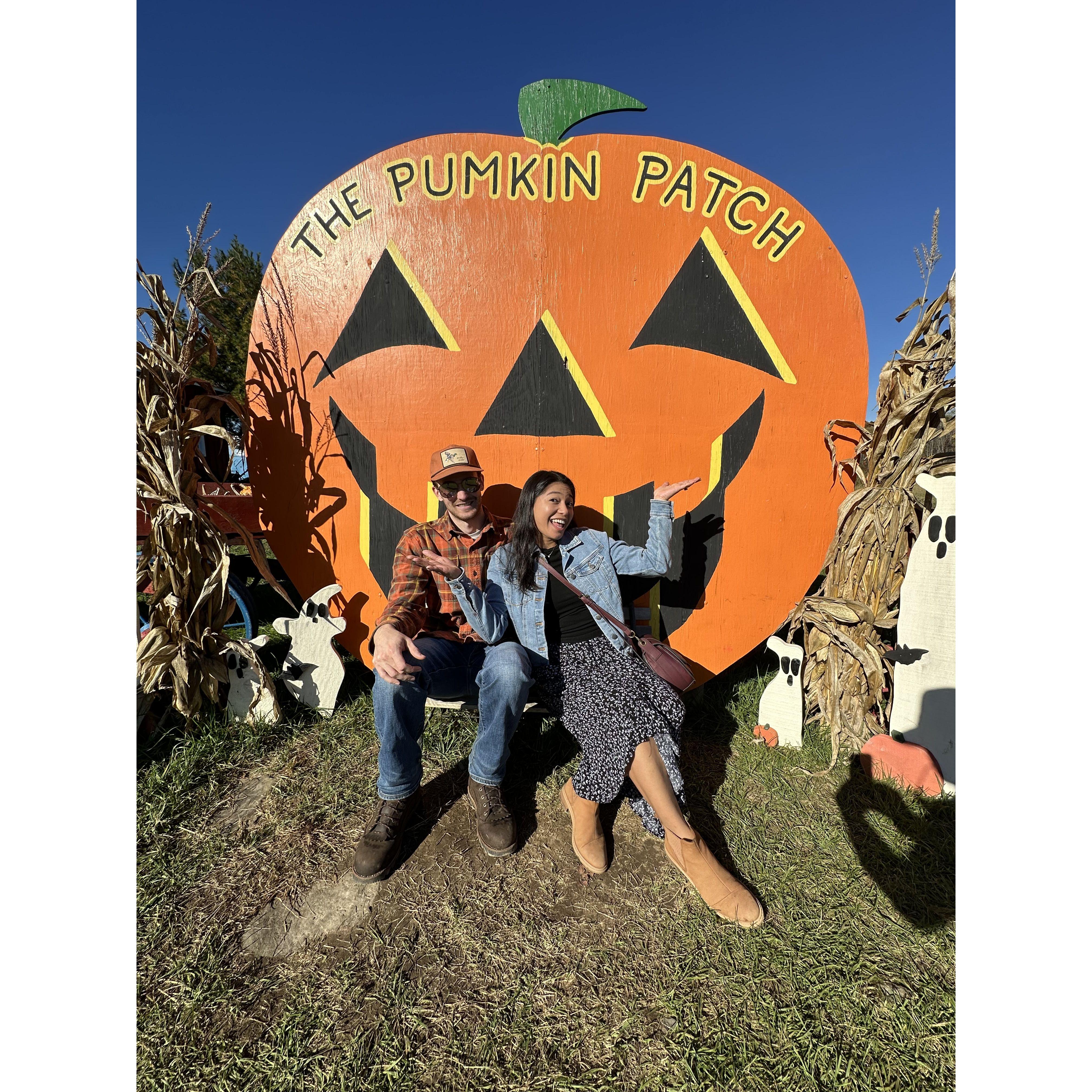 The fall we loved