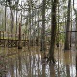 Congaree National Park
