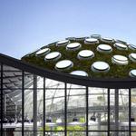 California Academy of Sciences