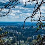 Local Hikes