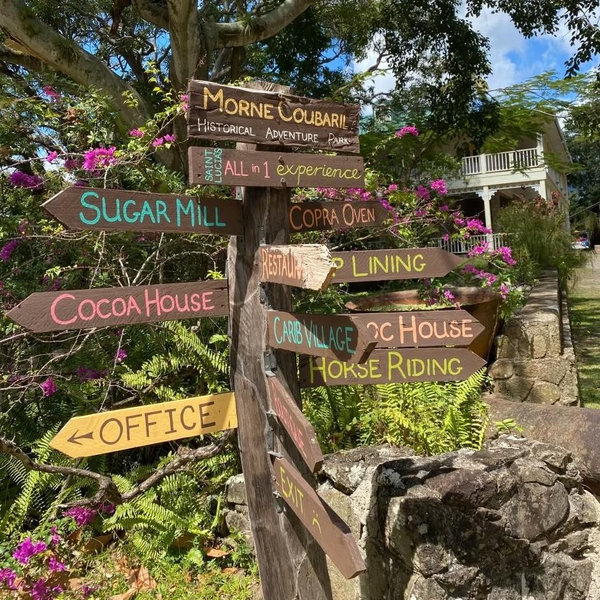 Honeymoon Activities