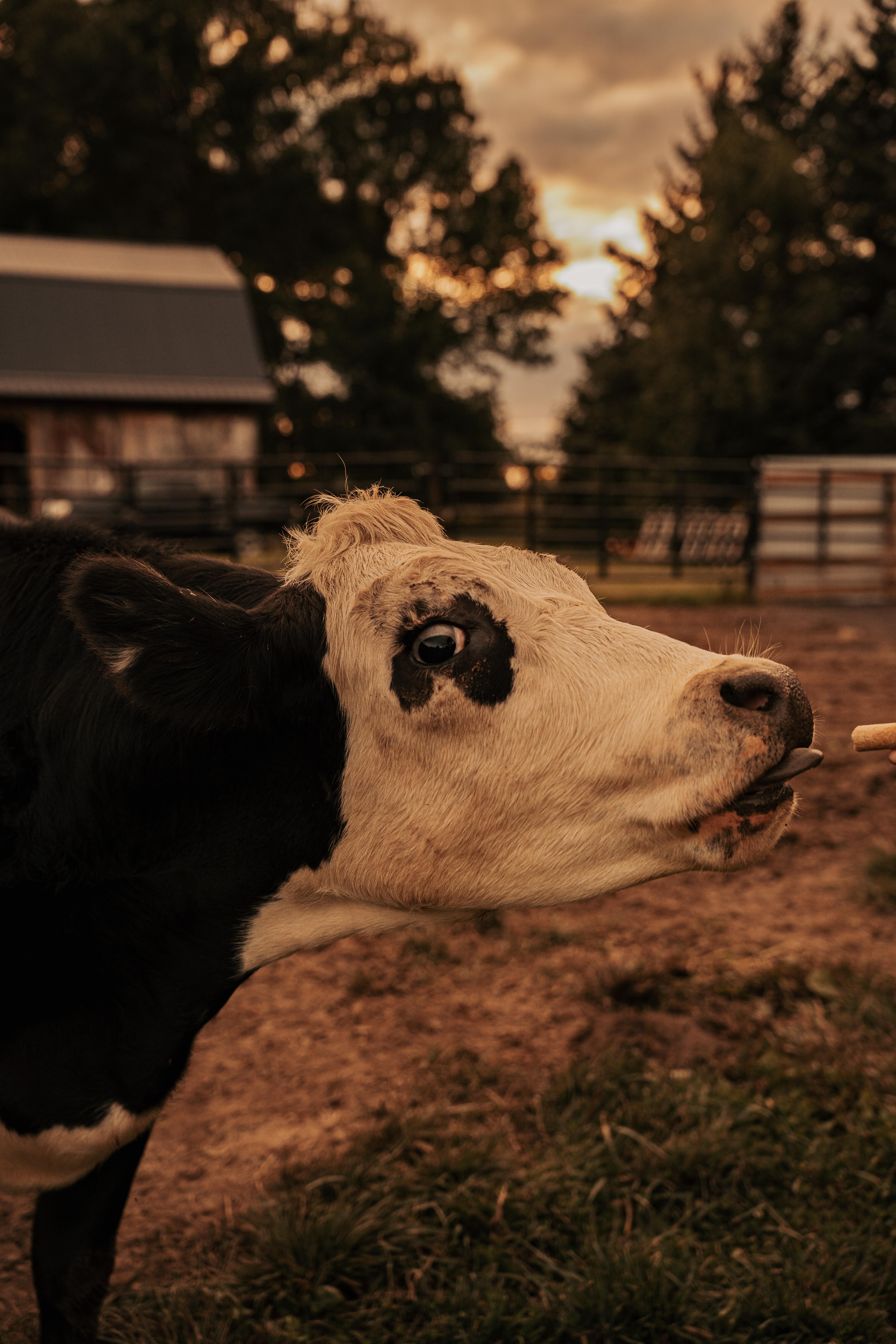 The Wedding Website of Maggie Gardner and Ross Christiansen