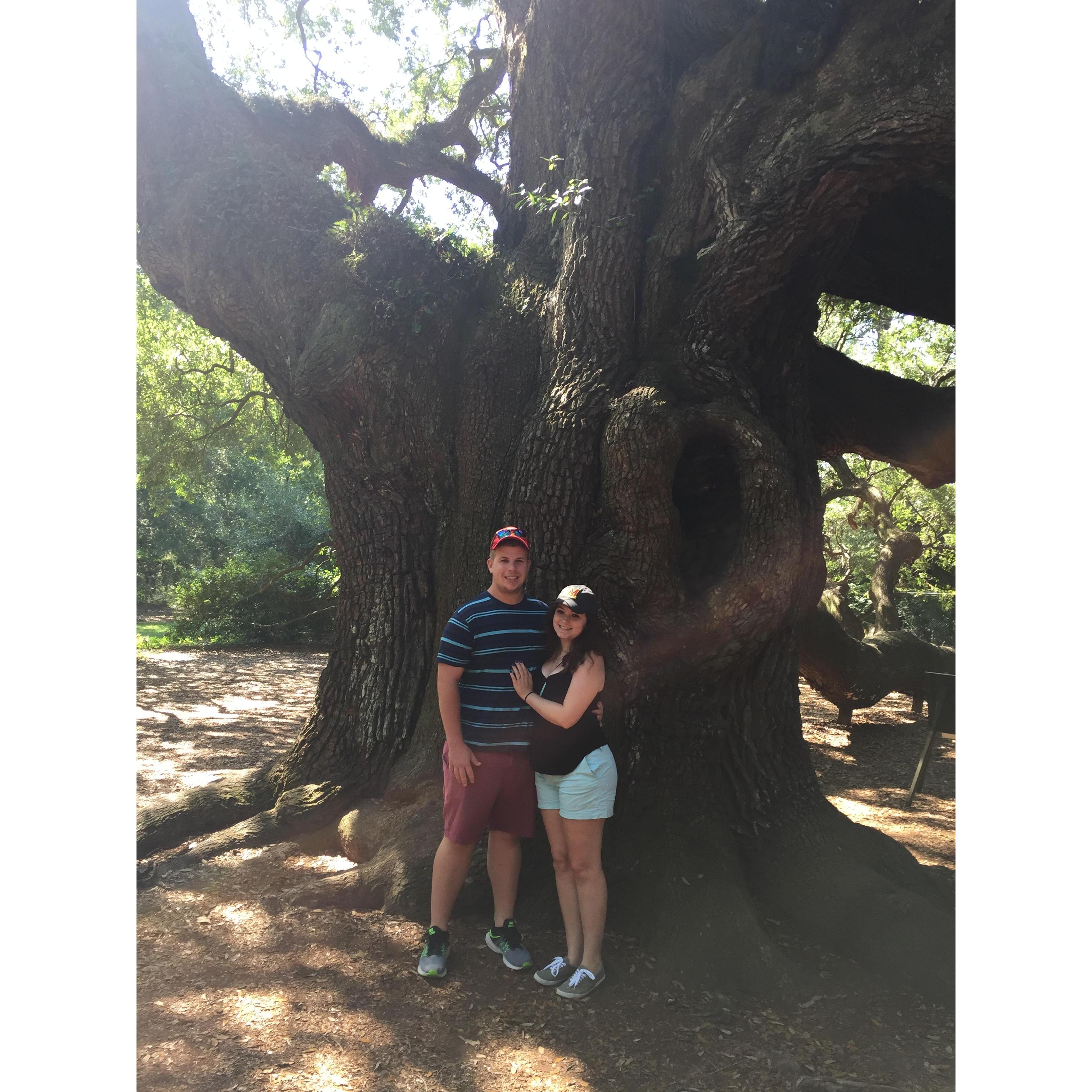 On a trip to Charleston, South Carolina we stopped at Angel Oak tree, what is believed to be the one of the oldest oak trees still living.