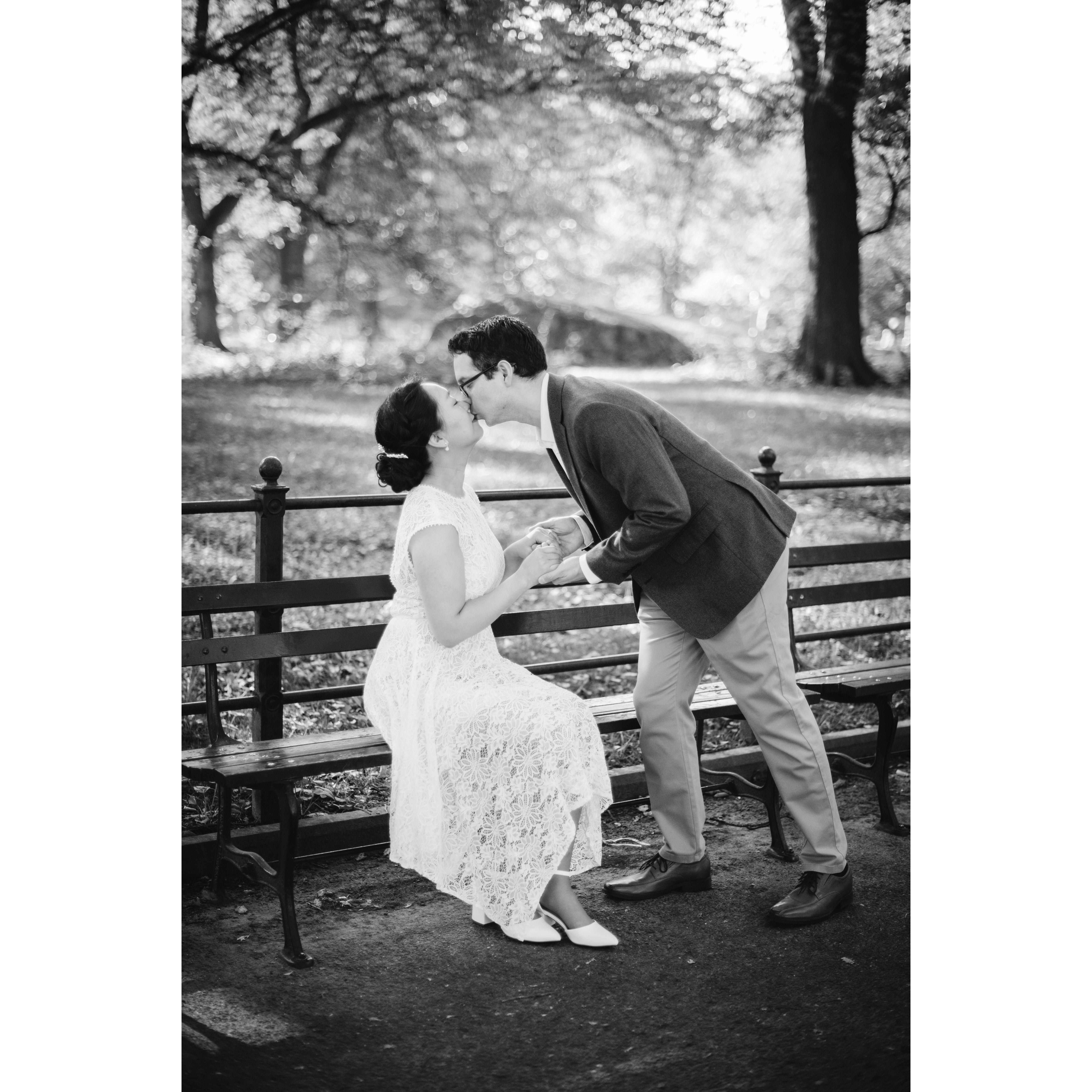 Engagement in Central Park, NYC