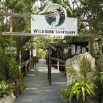 Florida Keys Wild Bird Rehabilitation Center