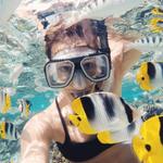 Snorkeling Puerto Aventuras