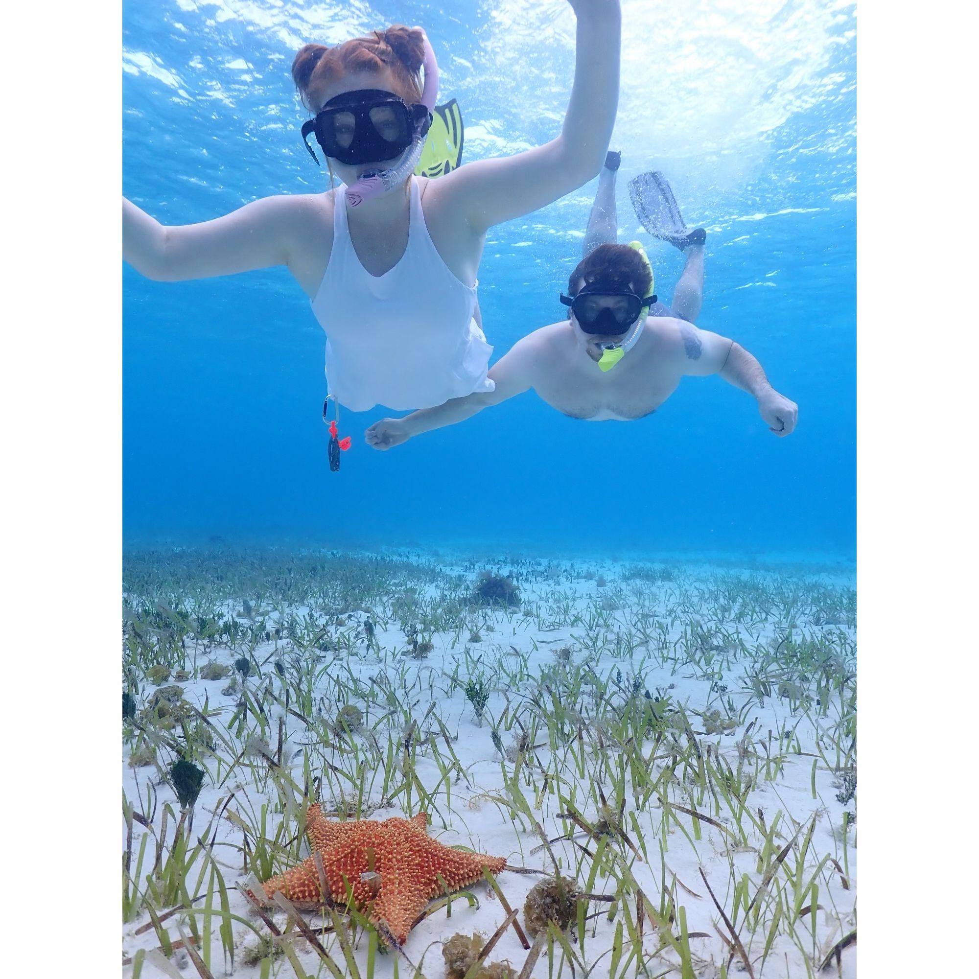 More Ocean Adventures