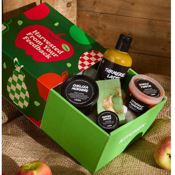 Lush Kitchen Shower Box