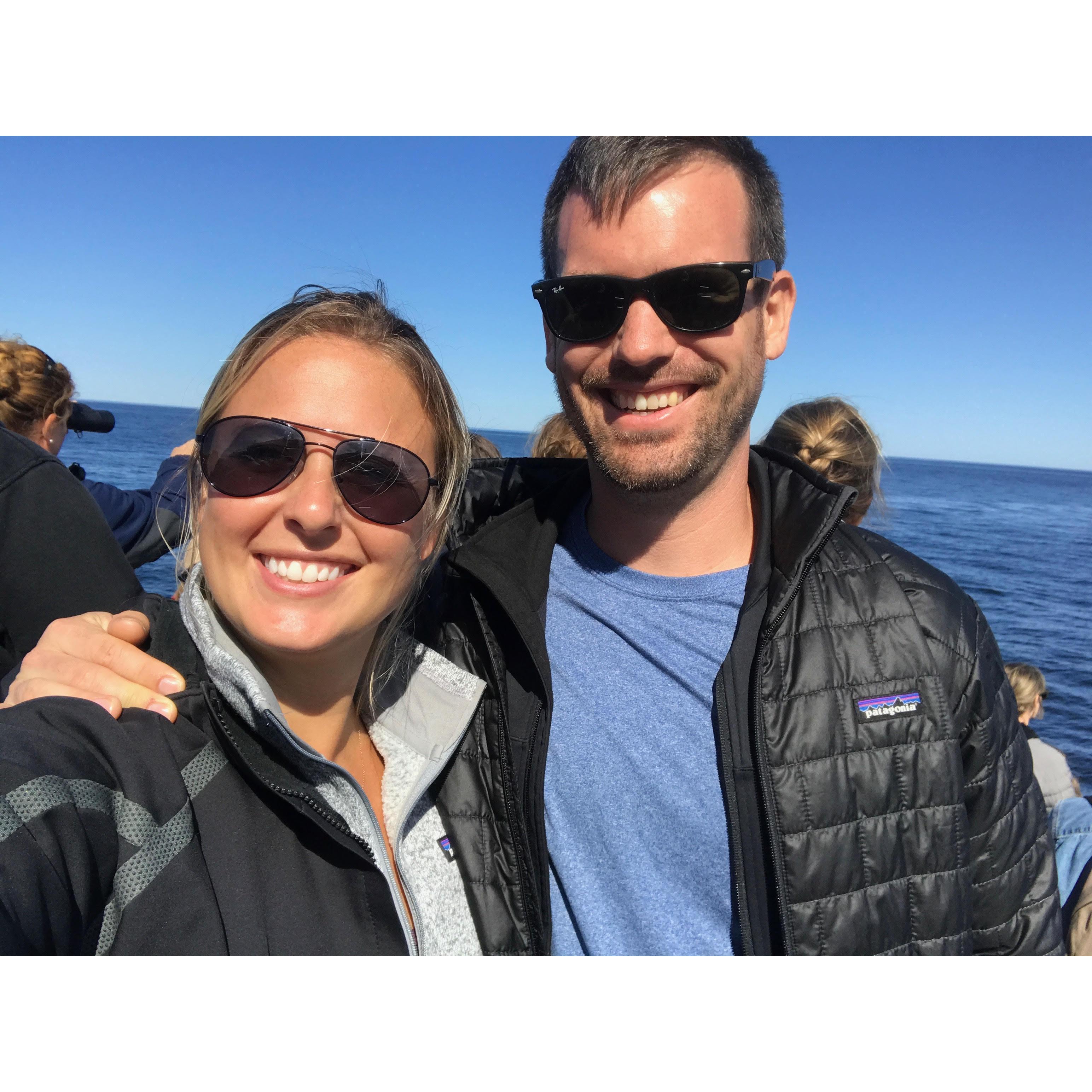 Whale Watch, Bar Harbor ME