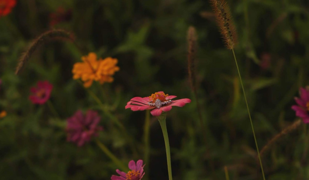 Footer image