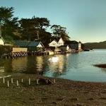 Hog Island Oyster Co
