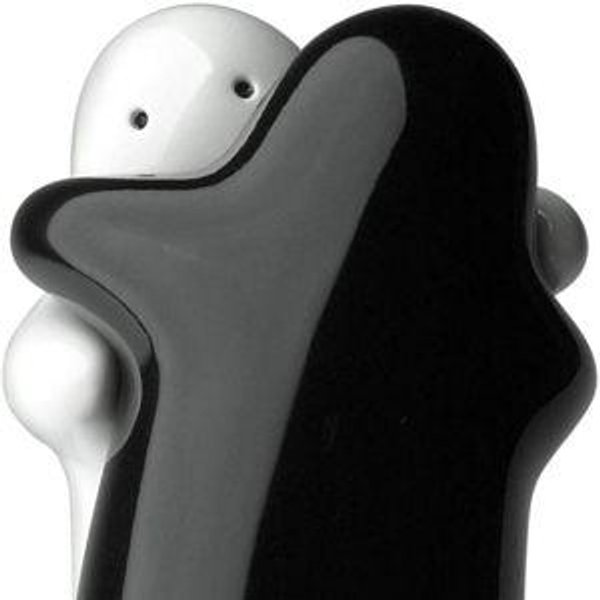 Salt and Pepper Shakers Hugging Shakers