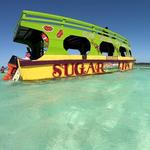 Buccoo Reef Tour & Nylon Pool