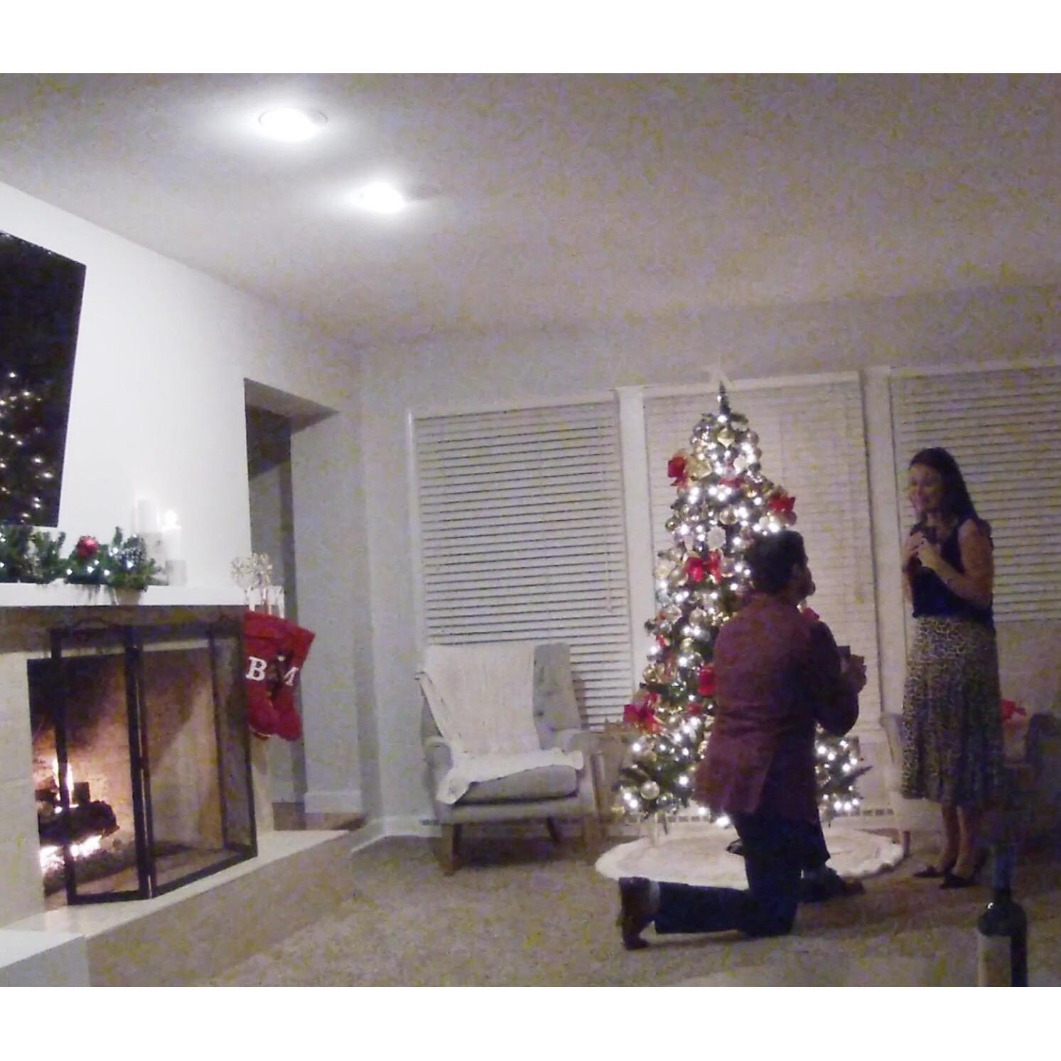 The proposal picture