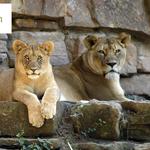 Fort Worth Zoo