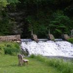 Decorah Fish Hatchery