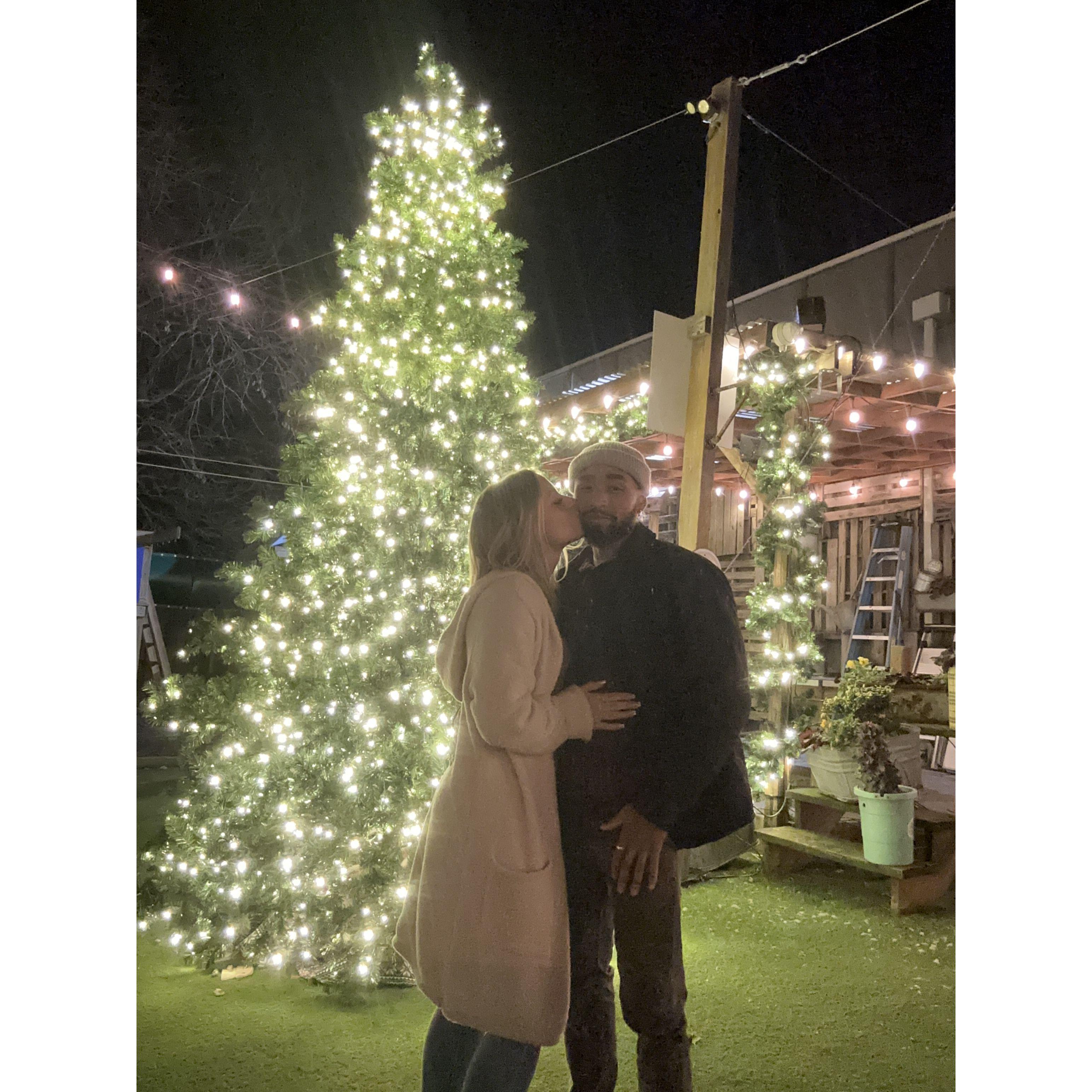 Crooked Hammock around Christmas 2023