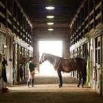 Horseback Riding