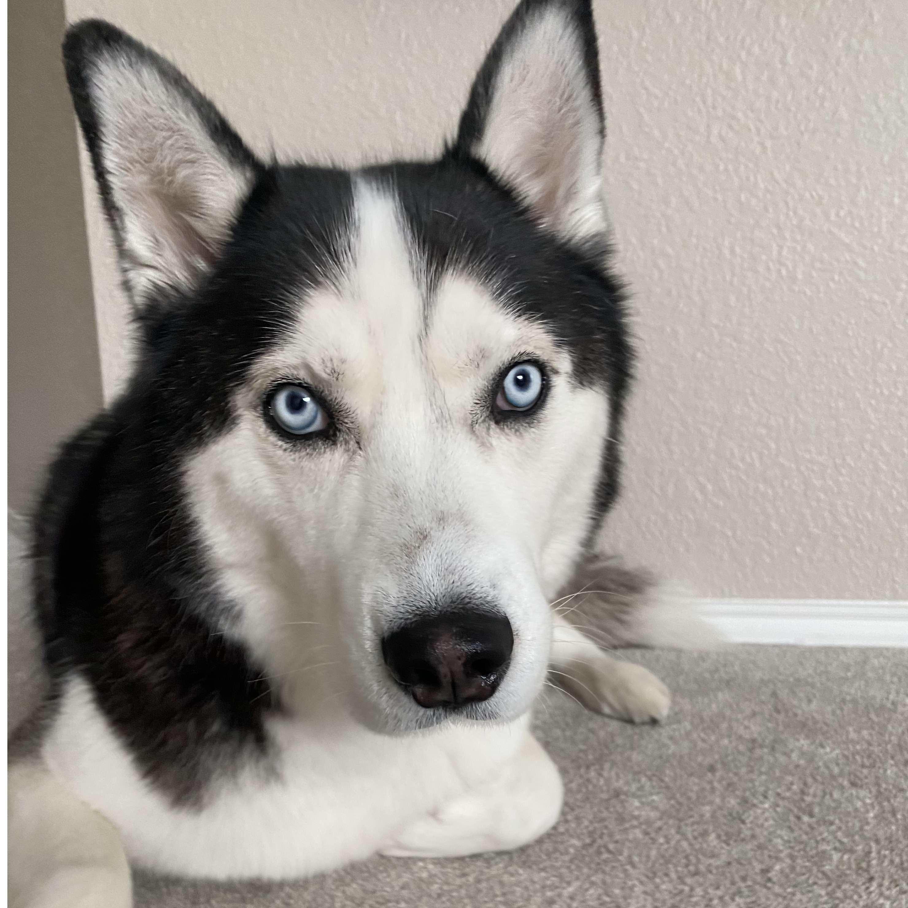 Our Beautiful Son, Jax