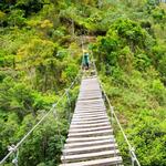Toro Verde Adventure Park