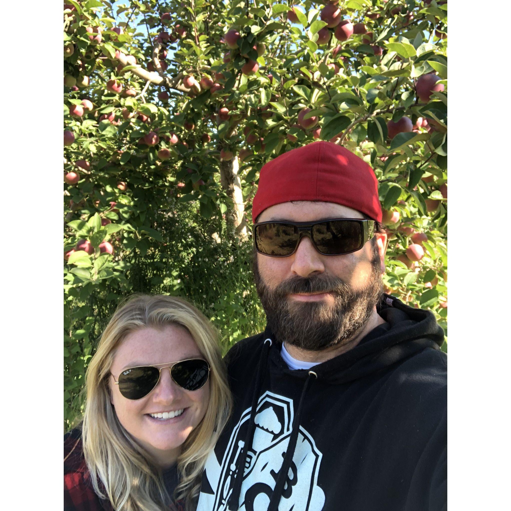 Apple picking 2019