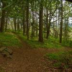 Mount Pisgah Arboretum & Trails