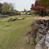Fort Worth Zoo