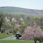 Arboretum & Botanical Garden