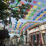 Downtown San Jose Del Cabo