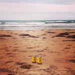 Prince Edward Island Brewing Company