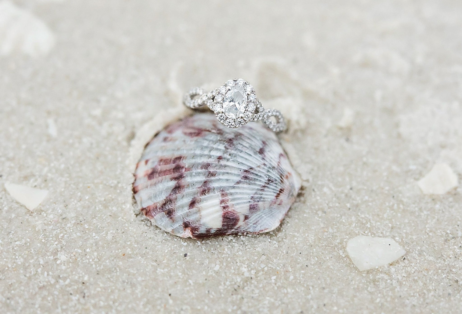 The Wedding Website of Jenna Moorehead and Nick Blackie