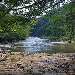 Laurel Creek Trail