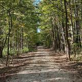Latta Nature Preserve