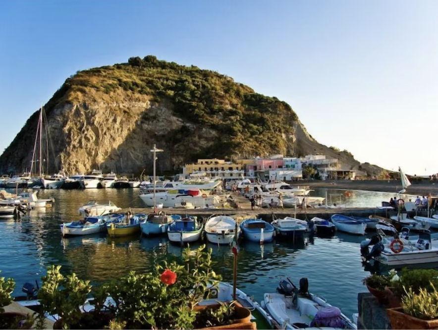 The Wedding Website of Olivia Brodsky and Luca Signorini