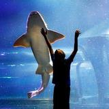 Oklahoma Aquarium