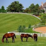 Kentucky Horse Park