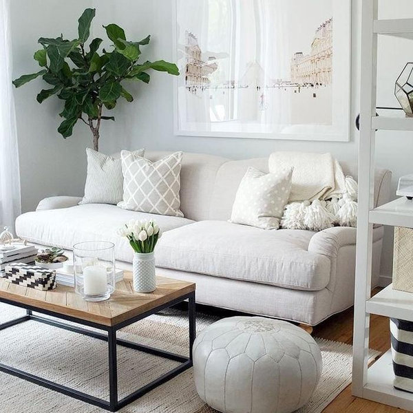Furniture Fund