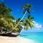 Saona Island