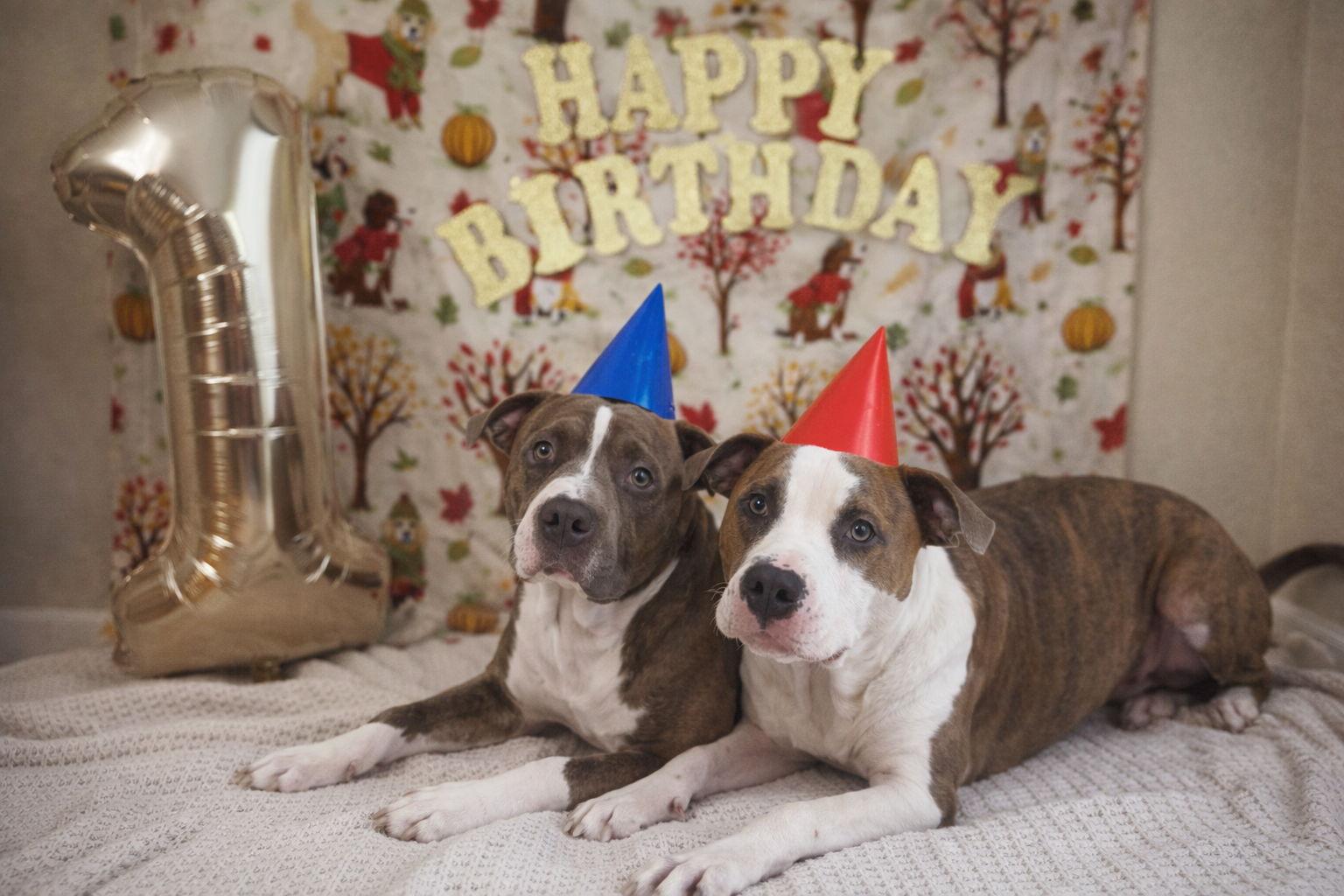 8c00c296-bc1f-446b-9097-1ecc64b40088