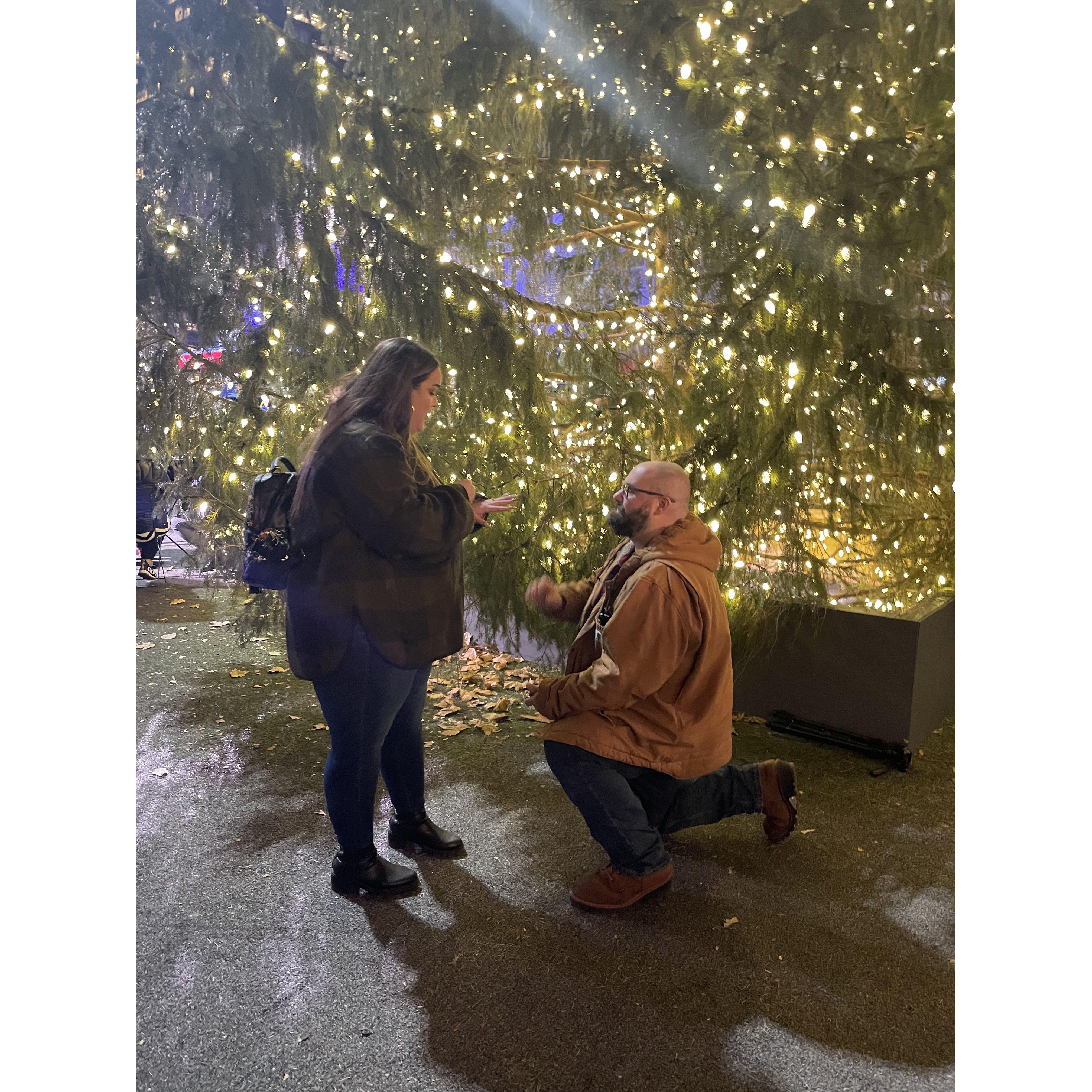 The most magical proposal in human history. Bryant Park in NYC! 2021