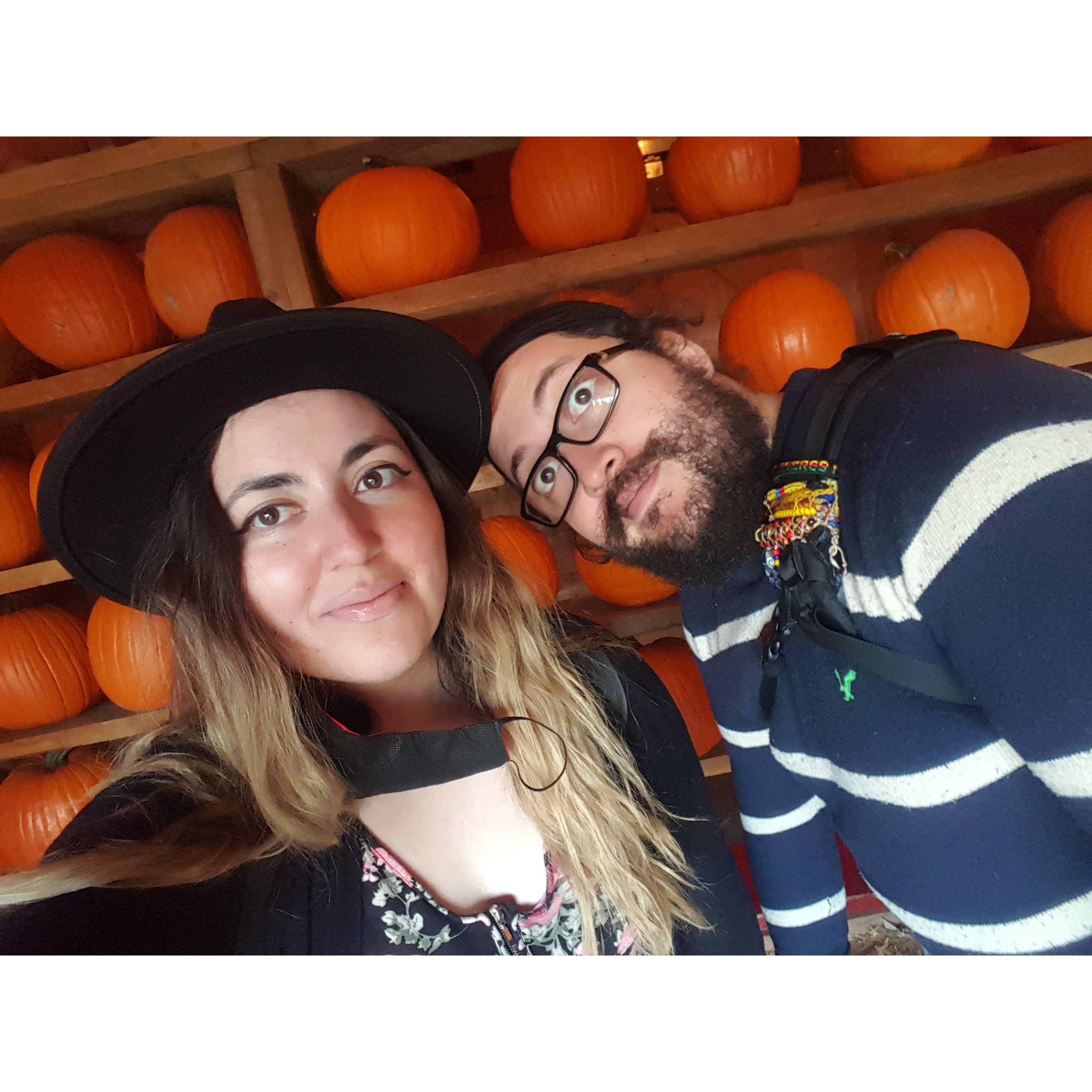 2020. Corn Maze