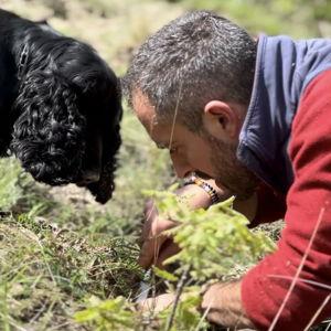 Truffle Hunting in Florence