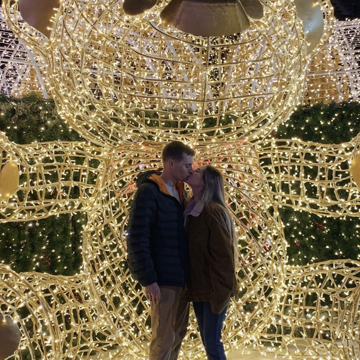 Enchanted Christmas