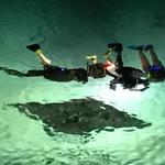 Swim with manta rays