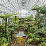 Garfield Park Conservatory