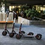 Bird Scooters