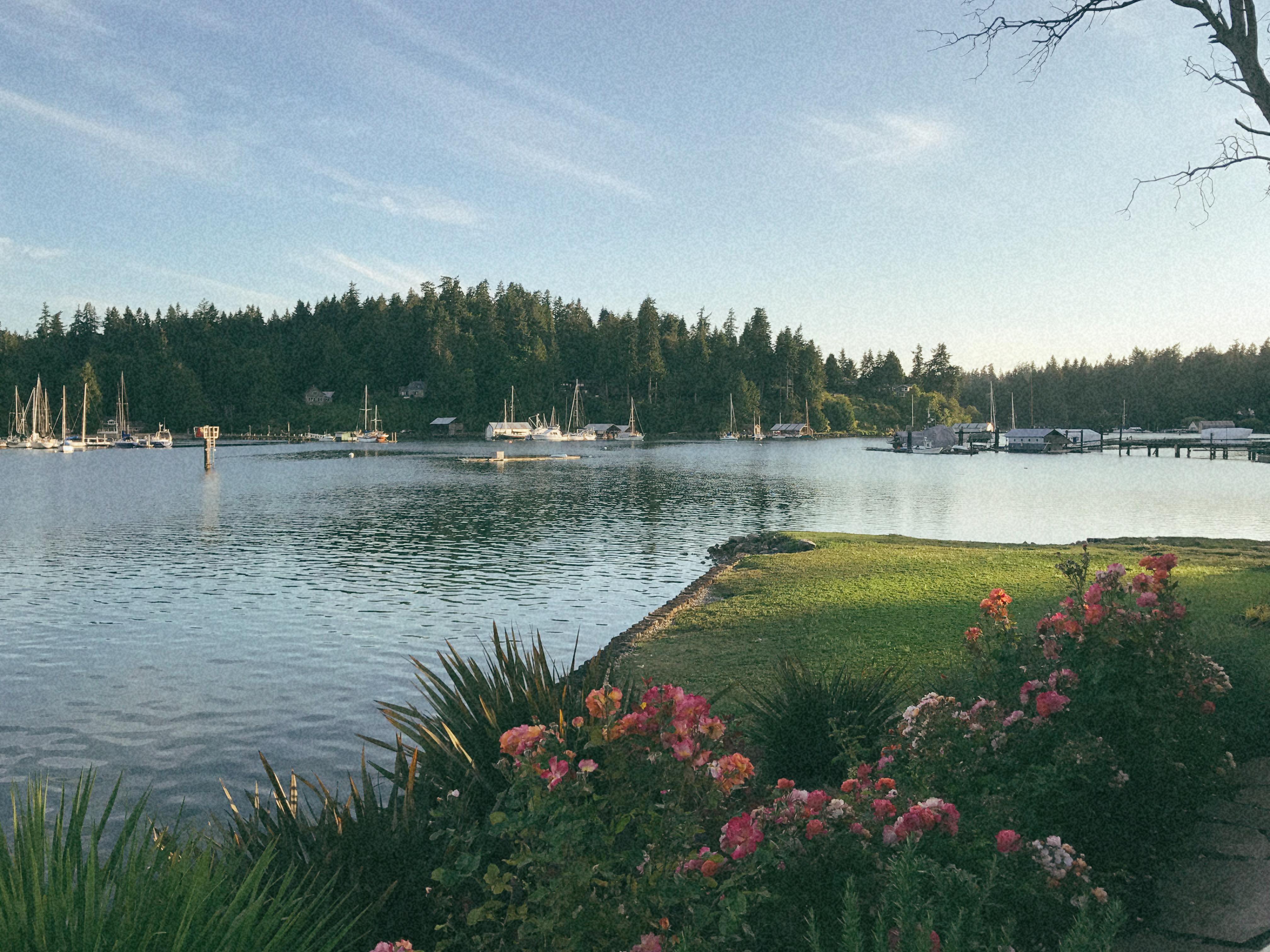 The Wedding Website of Halle Erdahl and Austen Radke