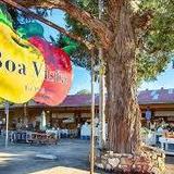 Boa Vista Orchards